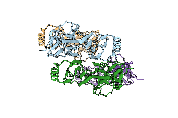 8C9K image