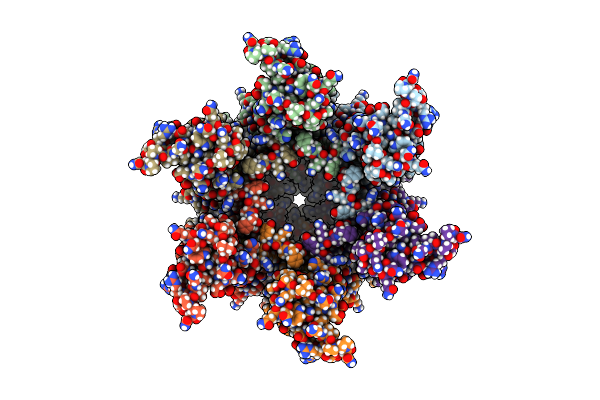 8C9M image