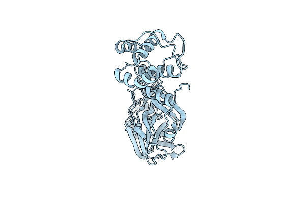 8C9P image