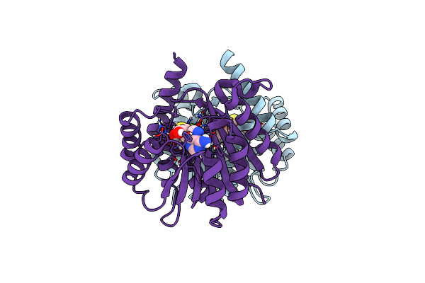 8C9S image