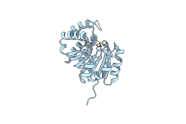8C9V image