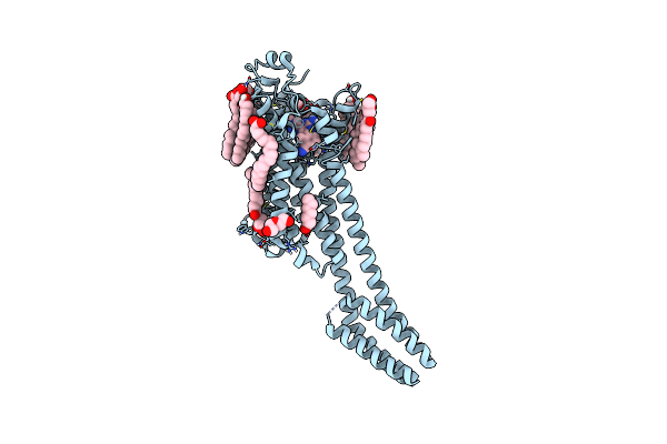 8C9W image