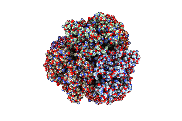8CA9 image