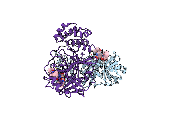 8CAC image