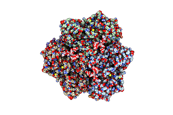 8CAD image