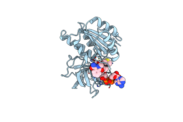 8CAL image