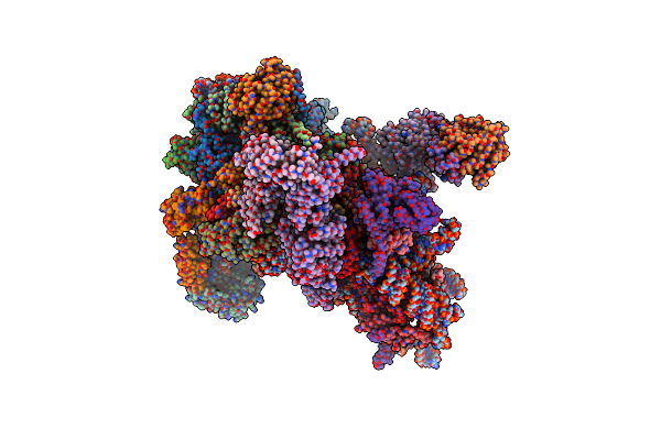 8CAS image