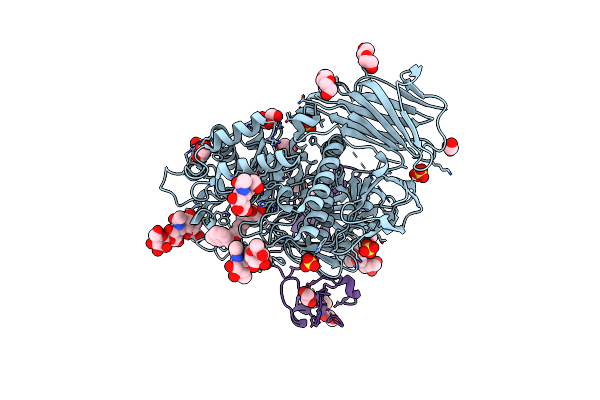 8CB1 image