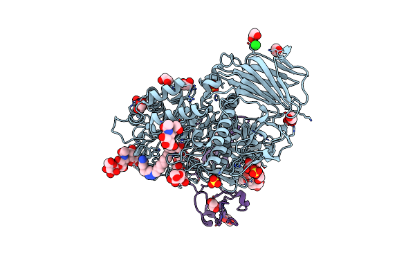 8CB6 image