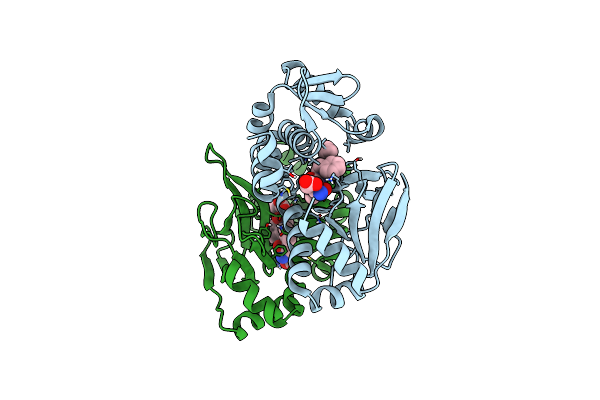 8CB7 image