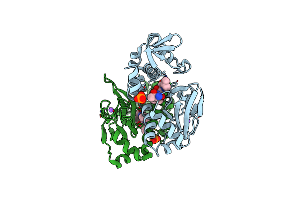 8CB8 image