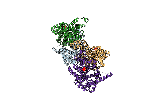 8CBB image