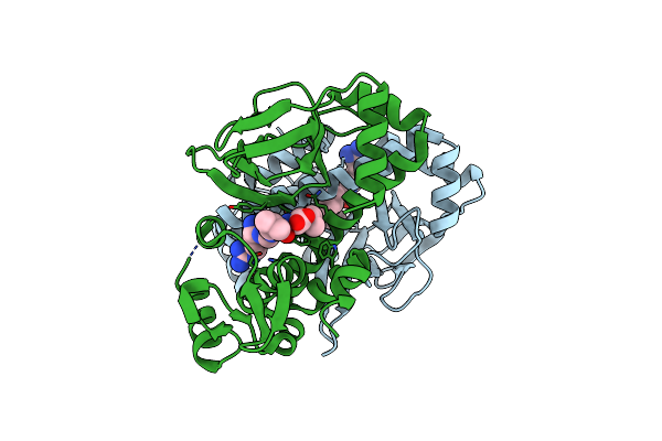 8CBG image