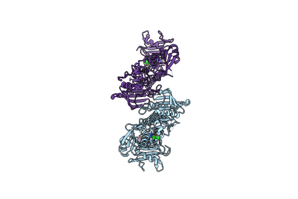8CBH image