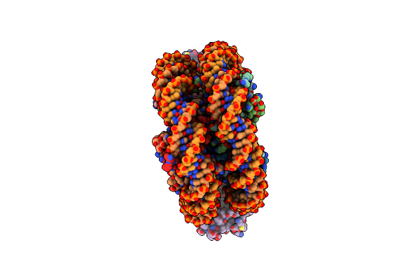 8CBN image
