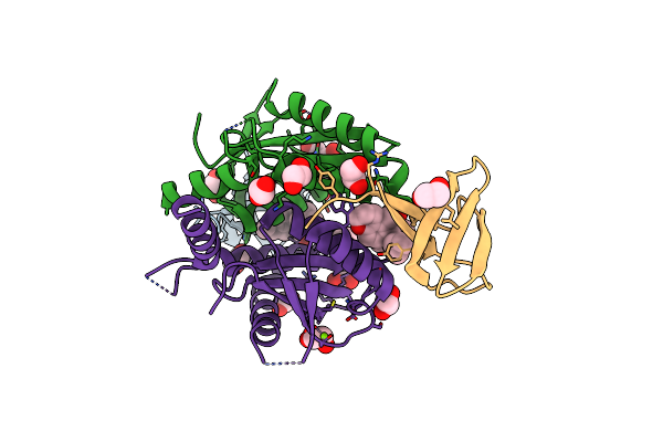 8CBS image