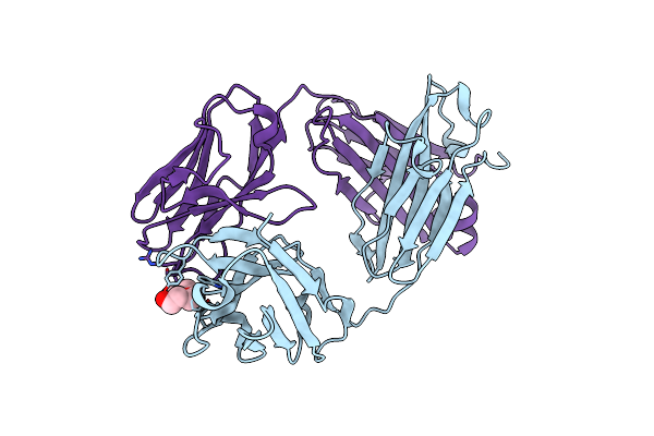 8CBX image