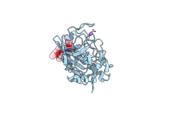 8CC2 image