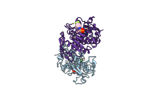 8CC4 image