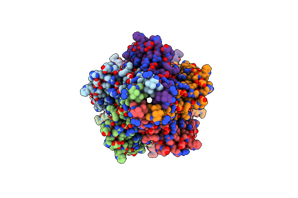 8CC6 image