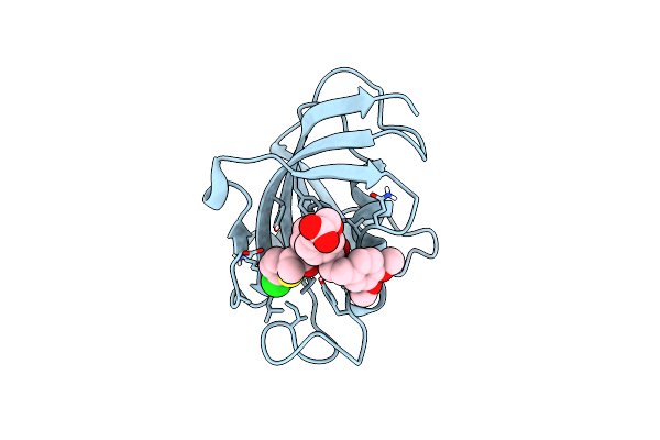 8CCC image