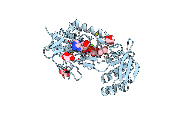 8CCI image
