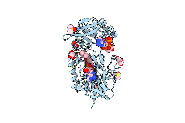 8CCJ image