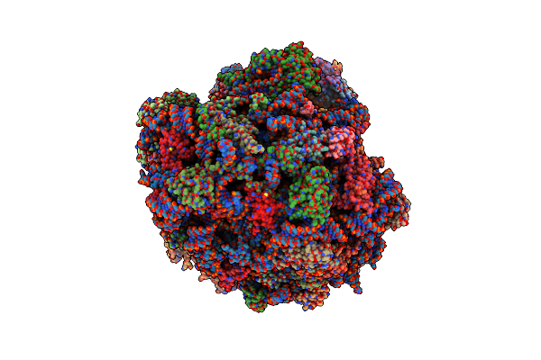 8CCS image