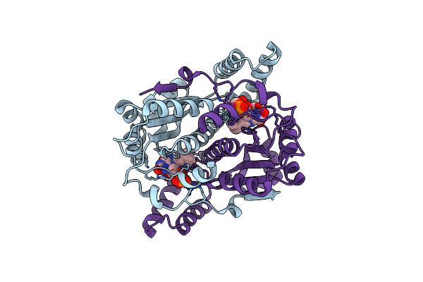 8CCV image