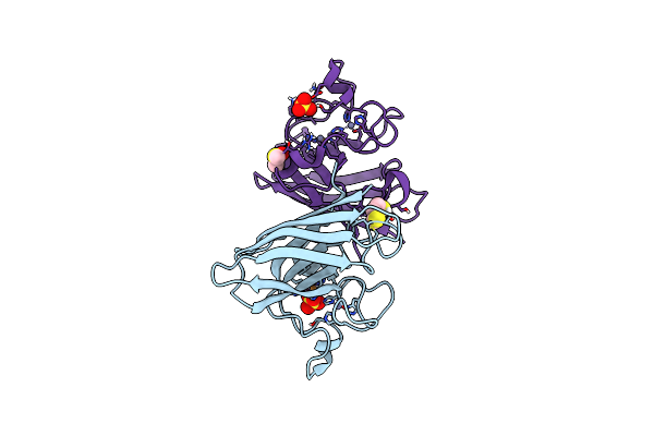 8CCX image