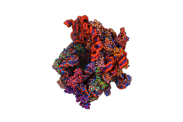 8CD1 image