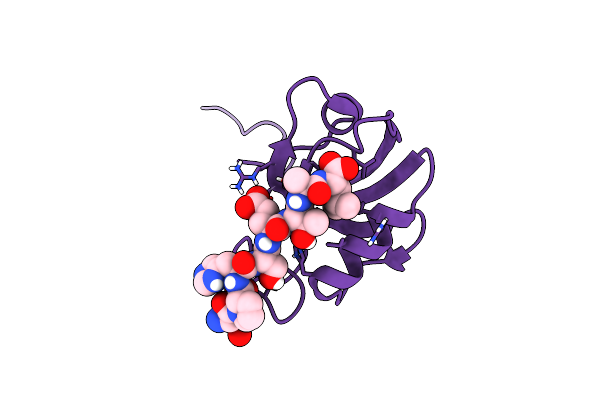 8CD3 image