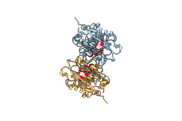 8CD8 image