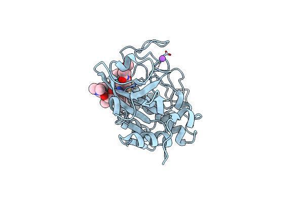 8CD9 image
