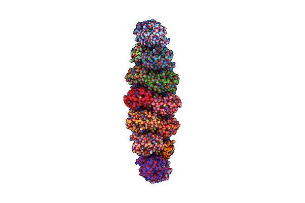 8CDB image