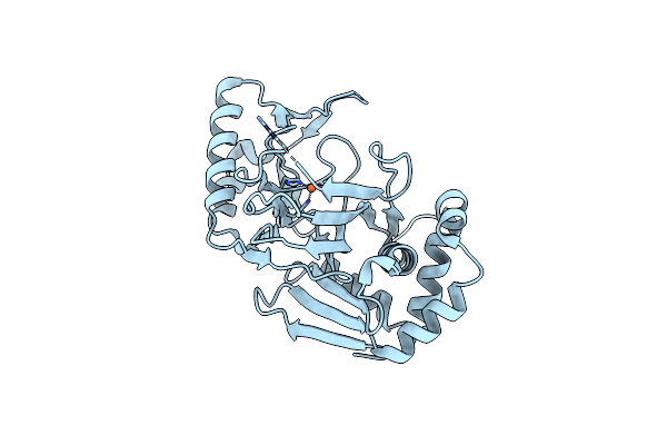 8CDF image