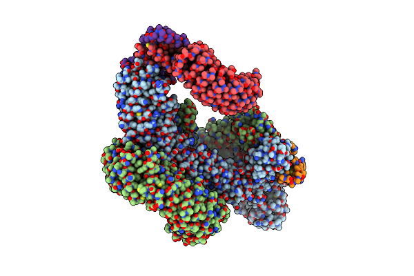 8CDK image