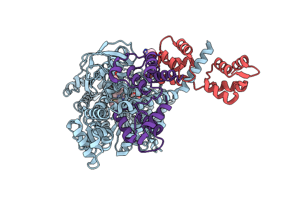 8CDM image