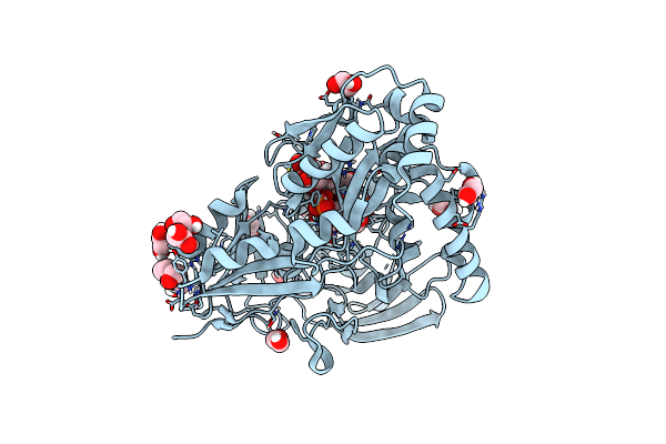 8CDO image