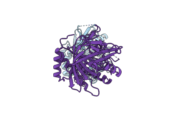 8CDP image
