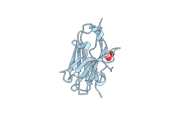 8CDS image