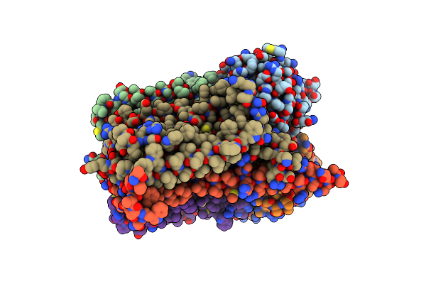 8CEA image