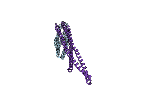 8CEG image