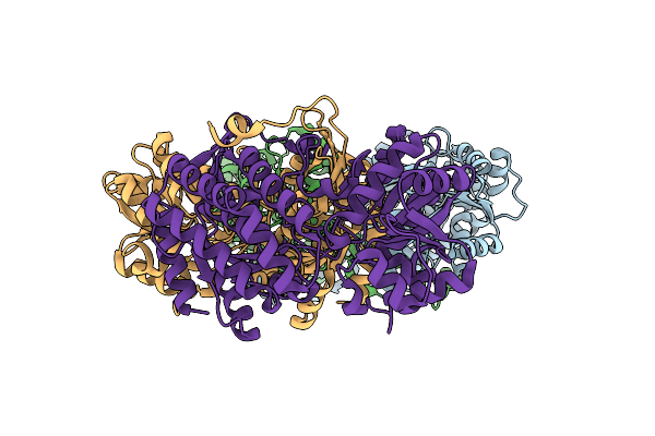 8CEI image