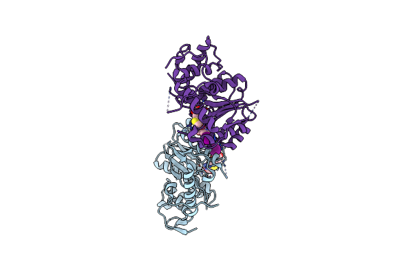 8CEV image
