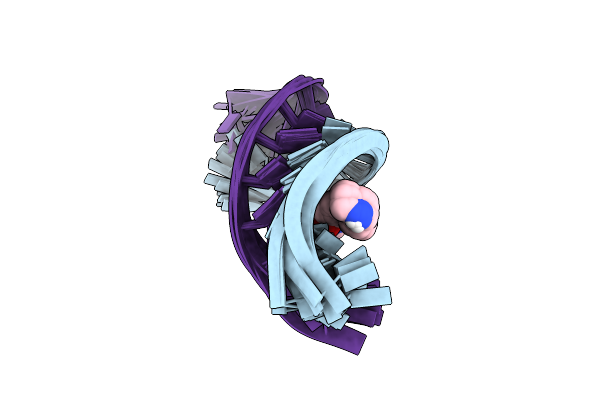8CF2 image