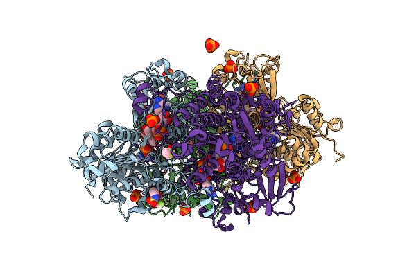 8CFI image