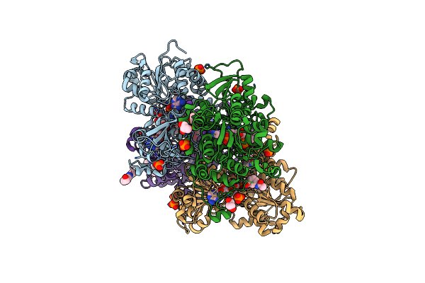 8CFS image
