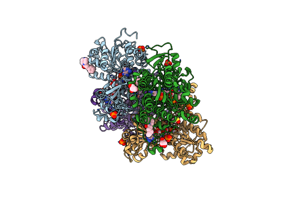 8CFU image