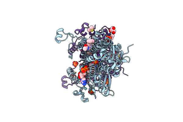 8CG2 image